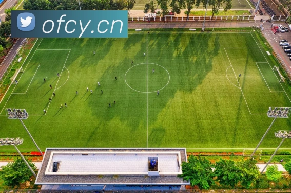 开云官方在线登陆入口平台生态图